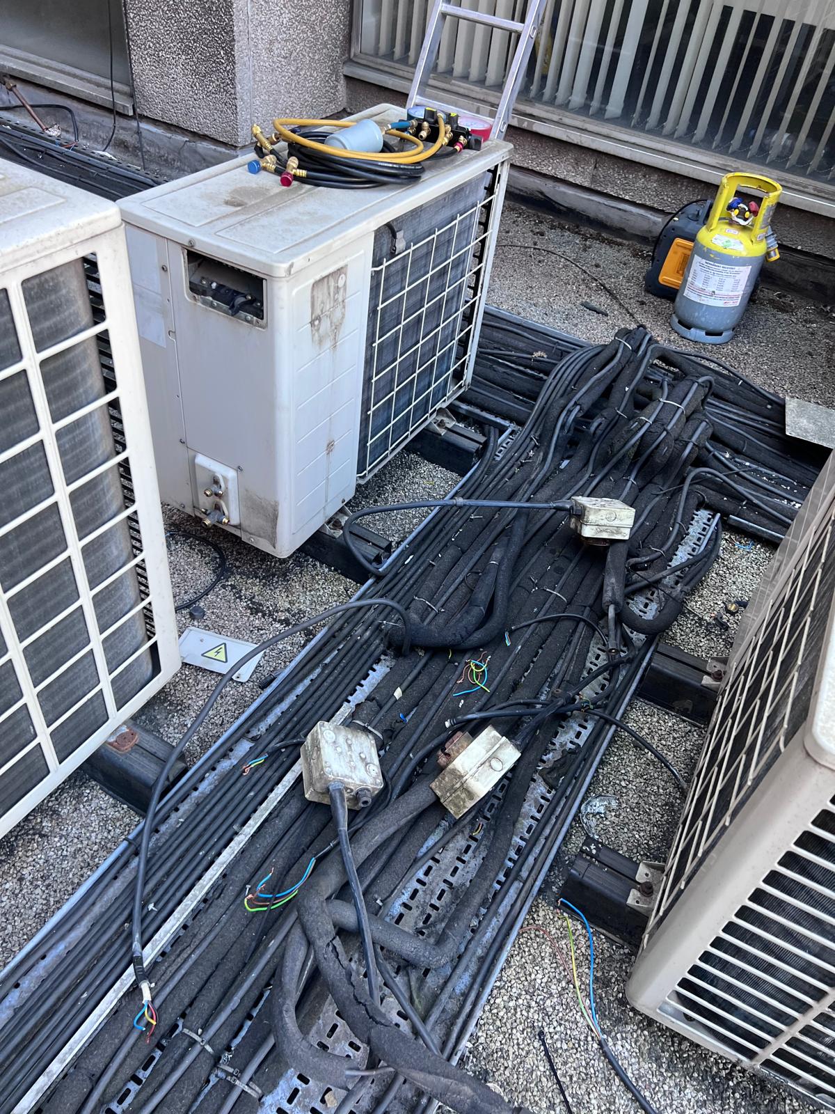 After — cleared shell 2